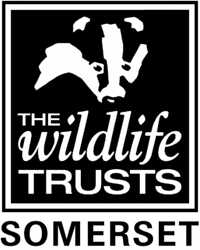 somerset-wildlife-trust-logo.png